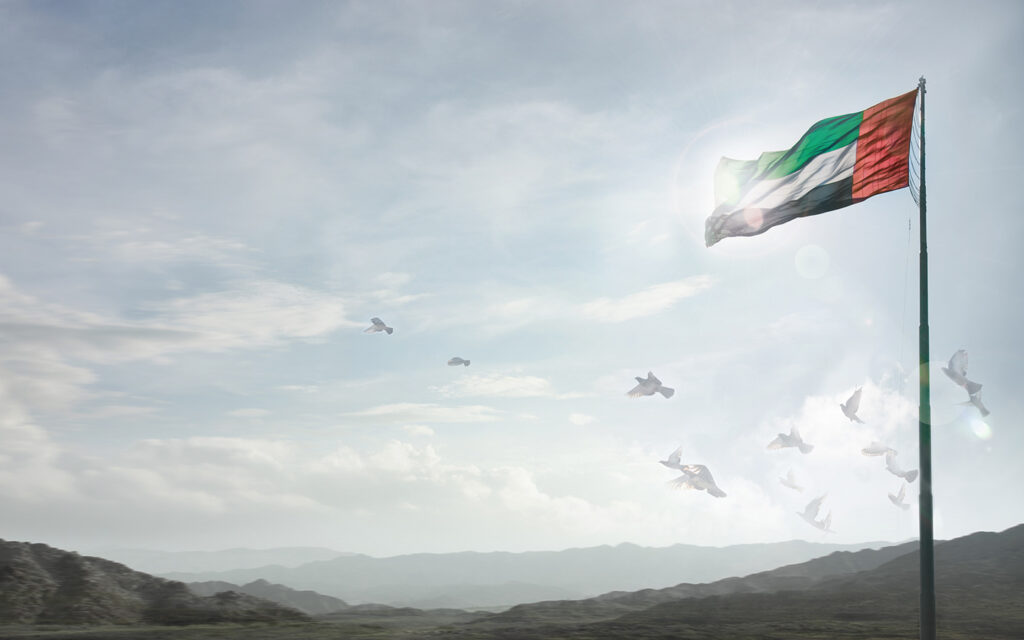 Ten Principles Shaping the UAE's Path in Its Next Fifty Years - UAE OK.com